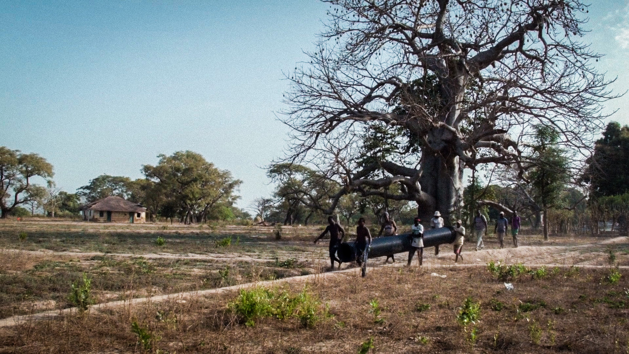 Des Guérandais fabriquent du sel en Guinée-Bissau