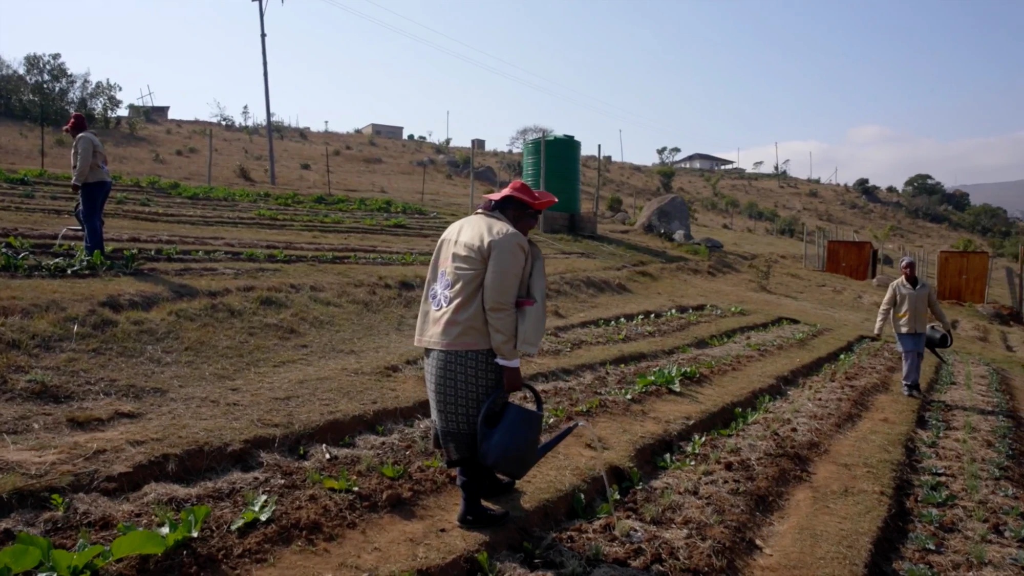 Formation aux techniques d'agriculture durable au Jardin des Savoir-Faire en Eswatini