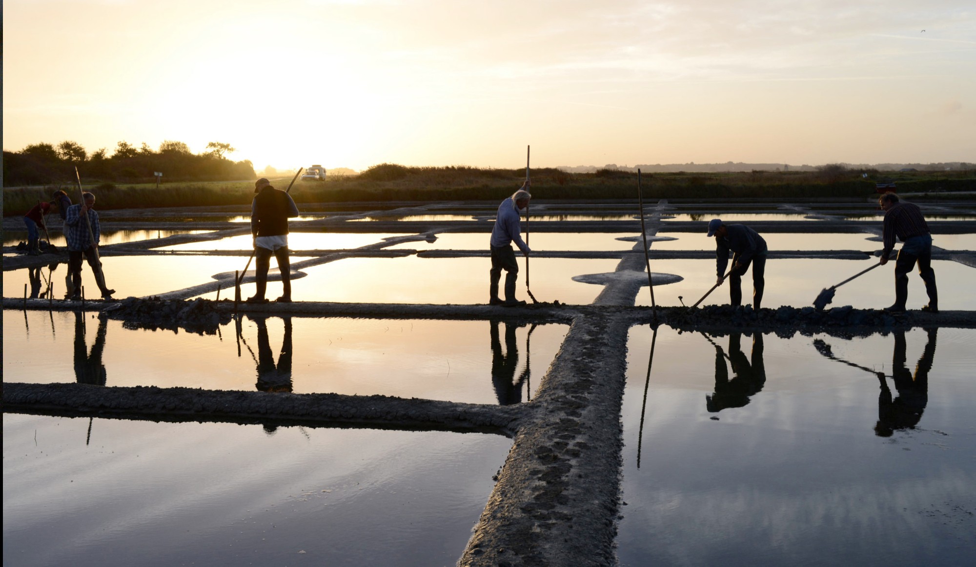 Paludiers au travail dans les marais salants de Guérande au lever du soleil, documentaire Le Pays Aux Pieds d'Argile